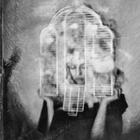 Rencontres virtuoses
